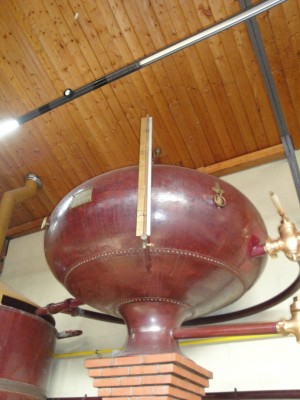 DSC06615.JPG