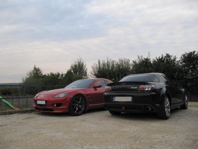 IMG_1010m.jpg