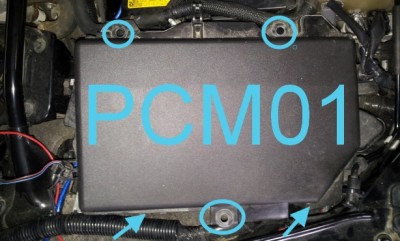 PCM01_02.jpg