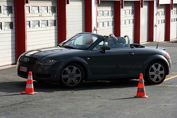 20051029_Spa_Marc-Duez_0487.jpg