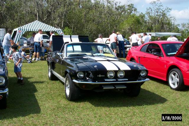 mustang.JPG