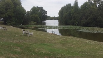 20150817_173913.jpg