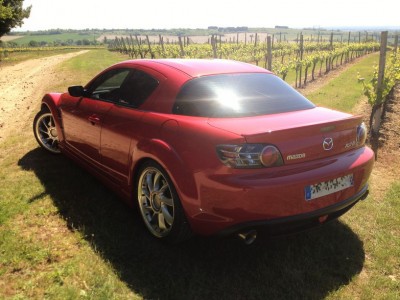 Petit tour dans les vignes Saint-Pourçinoise