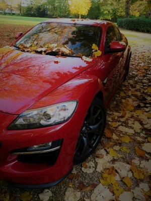 RX8 automne (2).jpg