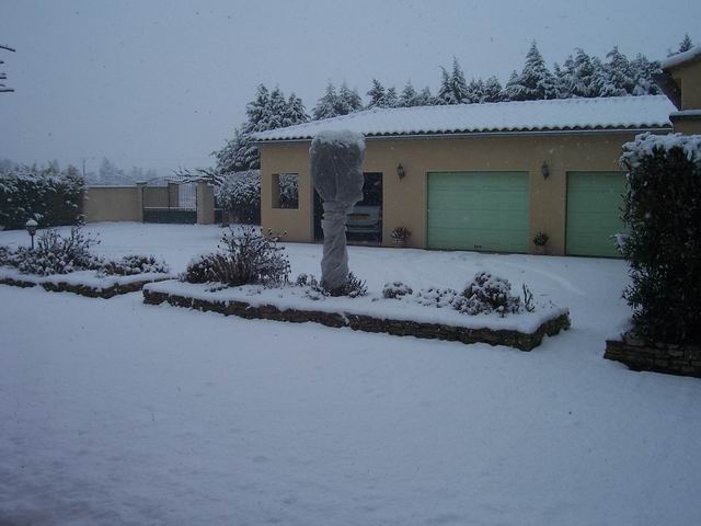 snow1.JPG