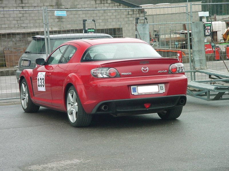 RPM20060417 006_s.JPG